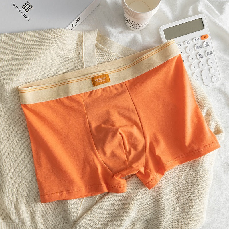 【升級款！不扯蛋】CP值超高！26春夏新款莫蘭迪色系純棉平角男士內褲