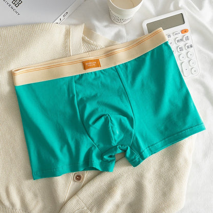 【升級款！不扯蛋】CP值超高！26春夏新款莫蘭迪色系純棉平角男士內褲